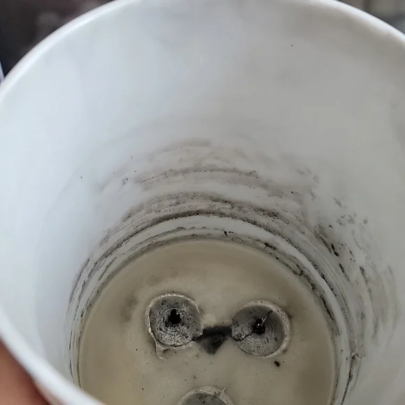 LIMITED EDITION DIPTYQUE ROSE CANDLE CERAMIC CONTAINER - Picture 7 of 7